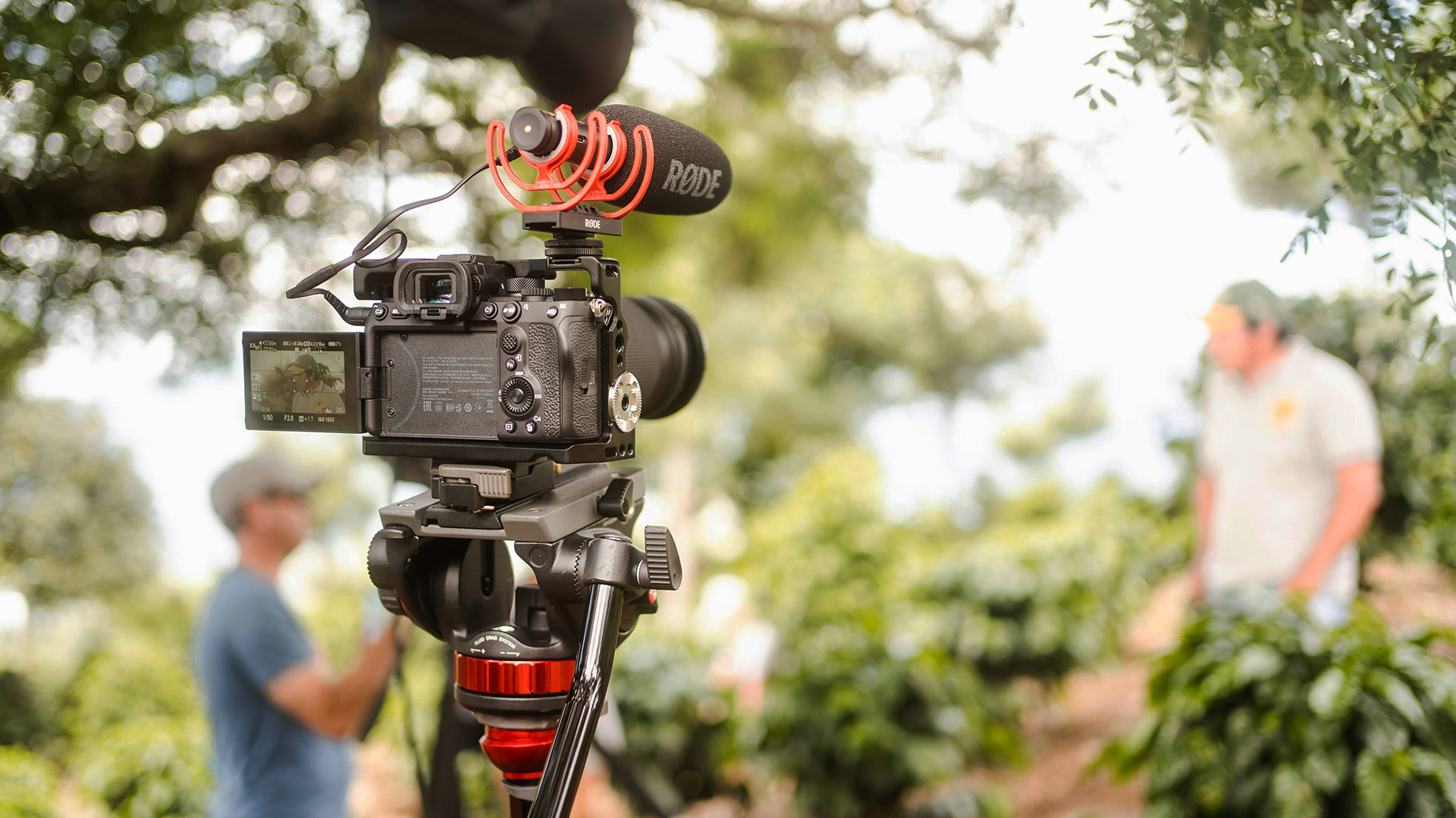 Documentary Filmmaking